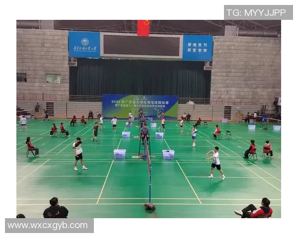 羽毛球力量榜单揭晓成都羽毛球队荣获第九名佳绩